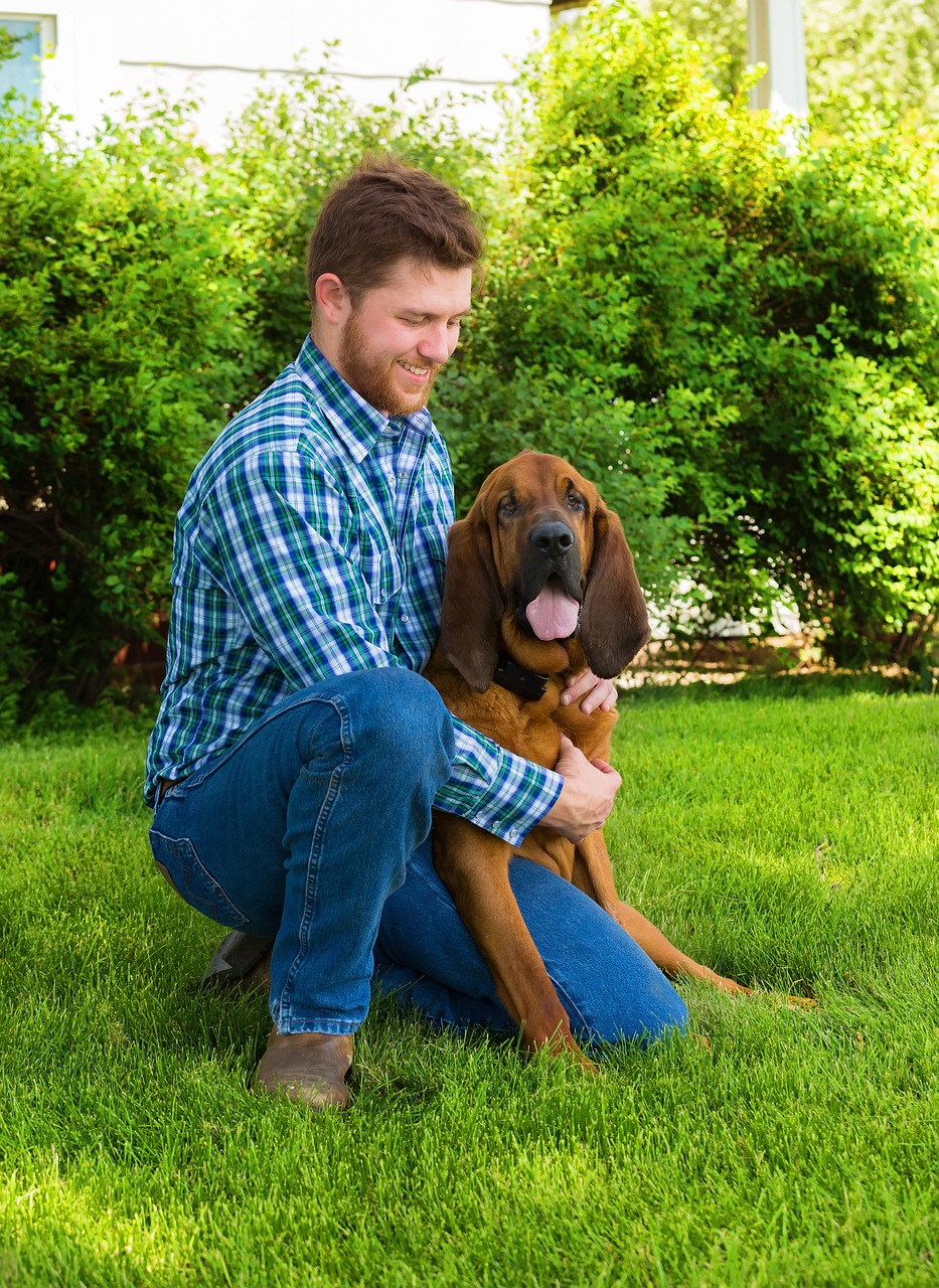 blood hound, man, best friend-1718245.jpg